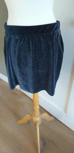 Nieuw!Velours rokje maat XL blauwgrijs, Blauw, Maat 42/44 (L), Nieuw, Ophalen of Verzenden