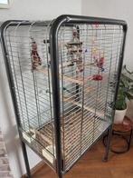 Jock papagaaien kooi, Ophalen, Gebruikt, Metaal, Vogelkooi