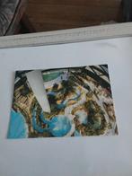 HEIJEN. (L)  CENTER PARCS HET HEIJDERBOS, Ophalen of Verzenden