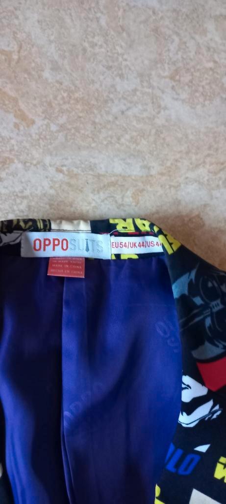 Carnavalspakken, Kleding | Heren, Overige Herenkleding, Gedragen, Ophalen of Verzenden