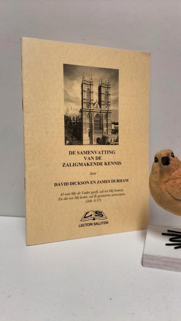 Dickson, David e.a.; De samenvatting van de zaligmakende, Boeken, Godsdienst en Theologie, Gelezen, Christendom | Protestants