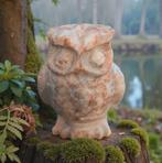 Jaspis uil, Verzamelen, Mineralen en Fossielen, Ophalen of Verzenden, Mineraal