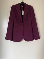 Paars/ bordeaux blazer van Madness, maat XS, Ophalen of Verzenden, Nieuw, Maat 34 (XS) of kleiner, Paars