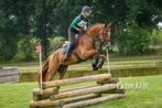 Knappe 4 jarige merrie (spring gefokt), Dieren en Toebehoren, Paarden, Merrie, Springpaard, Gechipt, 3 tot 6 jaar