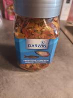 Visvoer Tropische vlokken, Dieren en Toebehoren, Vissen | Aquaria en Toebehoren, Ophalen of Verzenden, Nieuw