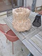 Eendenkorf, Dieren en Toebehoren, Mannelijk