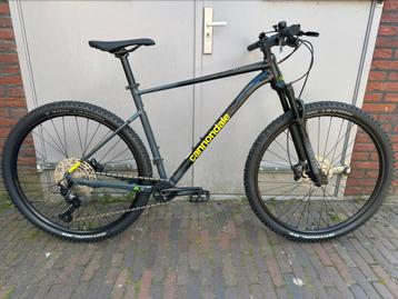 Nieuwe MTB Cannondale Trail SL 2 Mt XL (1.82-1.92) 12 speed! beschikbaar voor biedingen