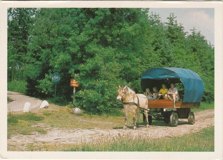 DRENTHE  Huifkar, Verzamelen, Ansichtkaarten | Nederland, Gelopen, Drenthe, 1980 tot heden, Verzenden