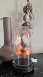 Mooie stolp met faux vlinders oranje wit vakkenkast chique, Nieuw, Ophalen of Verzenden, X, X
