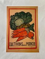 Cultivons Potager Poster, Ophalen of Verzenden, Zo goed als nieuw, Rechthoekig Staand