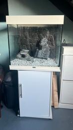 Juwel aquarium, Ophalen, Gebruikt, Leeg aquarium