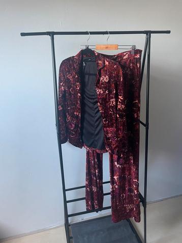 King Louie pak maat S beschikbaar voor biedingen