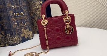 Rode Dior Tas beschikbaar voor biedingen