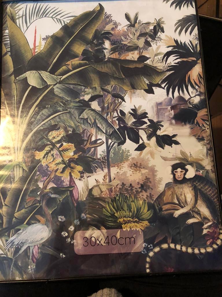 Fotolijsten, Minder dan 50 cm, Gebruikt, Metaal of Aluminium, Ophalen of Verzenden