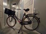 Batavus cnctd transportfiets 61 inch Bordeaux rood, 56 cm of meer, Ophalen, Gebruikt, Versnellingen