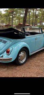 Gezocht een autospuiter  schadebedrijf om 3 complete auto’s, Ophalen, Voor, Bumper