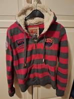 Heerlijk gevoerd vest / trui roze-grijs gestreept gevoerd, Maat 38/40 (M), Ophalen of Verzenden, Zo goed als nieuw, Grijs