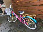 Alpina meisjes fiets 20 inch, Ophalen, Zo goed als nieuw, 20 inch