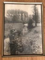 Originele foto Hub Leufkens, Geulgezicht, Ophalen