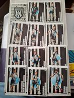 Heracles Almelo, Verzamelen, Sportartikelen en Voetbal, Ophalen of Verzenden, Nieuw, Overige binnenlandse clubs, Poster, Plaatje of Sticker
