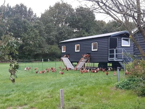 mobiele kippenstal, Dieren en Toebehoren, Pluimvee | Toebehoren, Zo goed als nieuw, Kippenhok of Kippenren, Ophalen