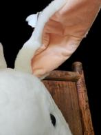 toffe superzachte koppies van rabbit Alice - nw in doos 2x, Vrouwelijk, Klein, Hangoor