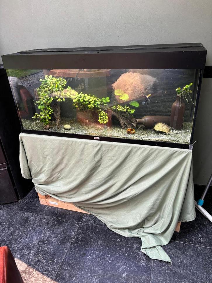 Compleet Juwel aquarium met onderstel, Dieren en Toebehoren, Vissen | Aquaria en Toebehoren, Gebruikt, Gevuld zoetwateraquarium