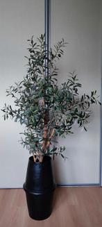 Kunst Olijfboom in Pot, Overige soorten, In pot, 150 tot 200 cm, Groene kamerplant
