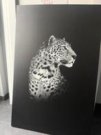 Foto canvas Luipaard, Ophalen of Verzenden, 75 tot 100 cm, 75 cm of meer, Print