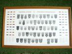 Nederlandse militaire medailles print, Verzamelen, Ophalen, Landmacht, Nederland, Lintje, Medaille of Wings