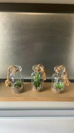 Kunstbloemen, Ophalen, Zo goed als nieuw