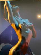 Sexy dame plexiglas poster (20x20cm), Ophalen of Verzenden, Zo goed als nieuw