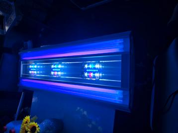 Giesemann Aurora Hybrid 120 cm beschikbaar voor biedingen