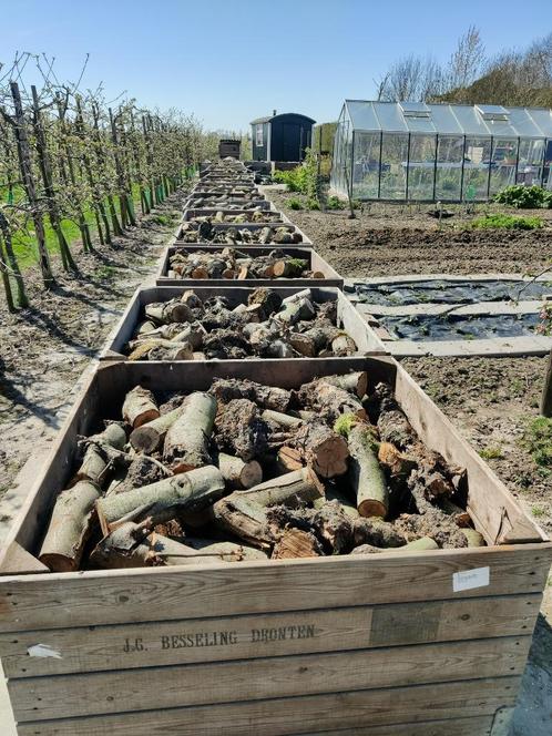 openhaardhout, Tuin en Terras, Haardhout, Blokken, Overige houtsoorten, Minder dan 3 m³, Ophalen