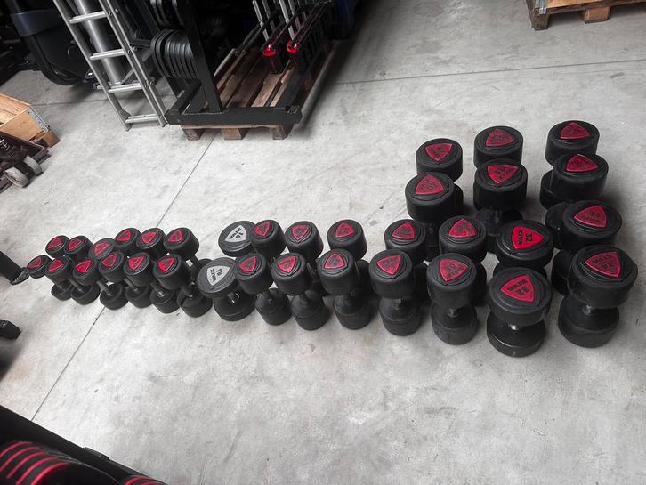 Ziva Rubberen Dumbells 6kg t/m 40kg, Sport en Fitness, Fitnessmaterialen, Zo goed als nieuw, Dumbbell, Ophalen