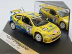 Renault Maxi Megane, Hobby en Vrije tijd, Modelauto's | 1:43, Ophalen of Verzenden, Nieuw, Auto, Overige merken
