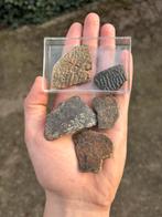 5 stukken schildpadden schild fossiel, Ophalen of Verzenden, Fossiel