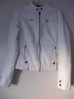 Mooi wit leatherlook jasje maat 36, Jasje, Ophalen of Verzenden, Wit, Zo goed als nieuw