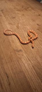 Jonge Rattenslang, Dieren en Toebehoren, Reptielen en Amfibieën, Slang, Tam, 0 tot 2 jaar