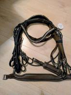 Profi-Rider Stang & Trens Hoofdstel, DonkerBruin, Full paard, Dieren en Toebehoren, Ophalen of Verzenden, Nieuw, Dressuur