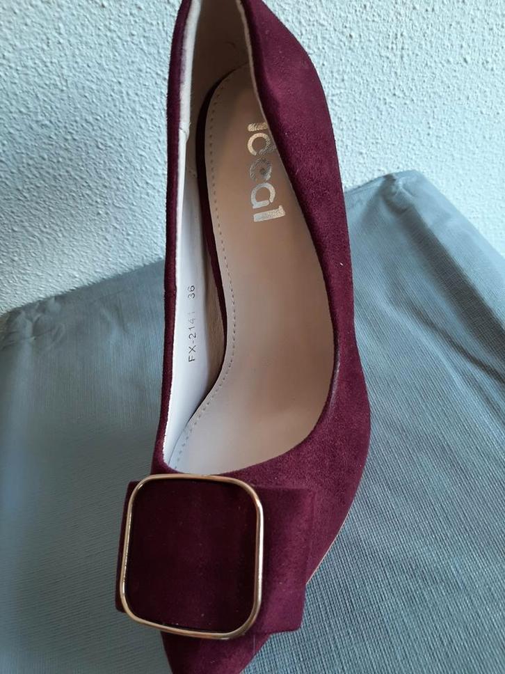Nieuw ! Mooie bordeaux suèdine pumps maat 36. Incl. hakjes, Kleding | Dames, Schoenen, Nieuw, Pumps, Rood, Ophalen of Verzenden