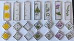 TIFFANY ketting oorhangerset met gedroogde bloemen ., Verzenden, Nieuw, Bloem of Plant, Zilver