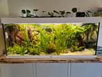 Juwel 400 aquarium, Ophalen, Gebruikt, Leeg aquarium