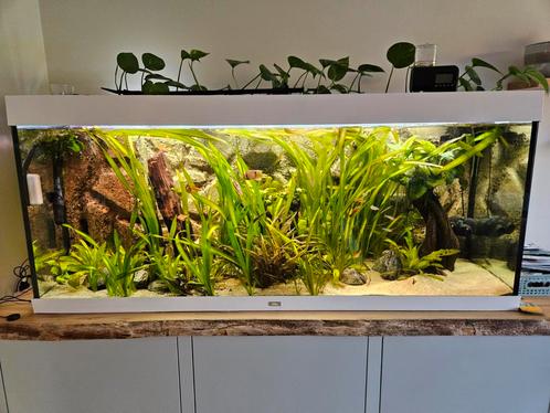 Juwel 400 aquarium, Dieren en Toebehoren, Vissen | Aquaria en Toebehoren, Gebruikt, Leeg aquarium, Ophalen