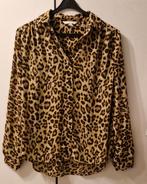 H&M dames leopard blouse maat 34 valt als 36, Ophalen of Verzenden