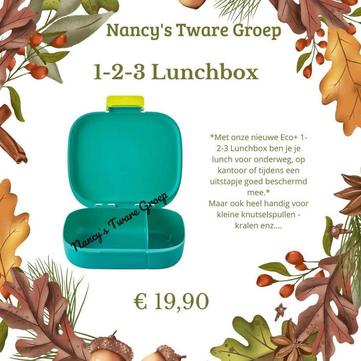 Eco+ lunchbox Tupperware, Huis en Inrichting, Keuken | Tupperware, Nieuw, Overige typen, Groen, Ophalen