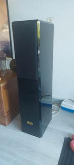 Zelfbouw luidspreker procus intus (pianolak zwart), Audio, Tv en Foto, Luidsprekers, Zo goed als nieuw, 120 watt of meer, Front, Rear of Stereo speakers