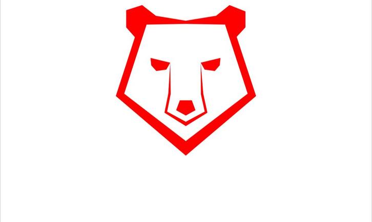 De Dak Beren Plat Dak Dakdekkers ZZP, Diensten en Vakmensen, Dakdekkers en Rietdekkers, Bitumineus