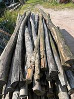 Kastaje palen vergrijsd  nieuw 250 en 300/8-10 cm afrasterin, Ophalen of Verzenden, Nieuw, 250 cm of meer, Palen