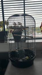 Vogelhok/kooi, Dieren en Toebehoren, Vogels | Hokken en Kooien, Ophalen, Gebruikt, Hout, Vogelkooi